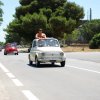 Montevago 2010 (460)